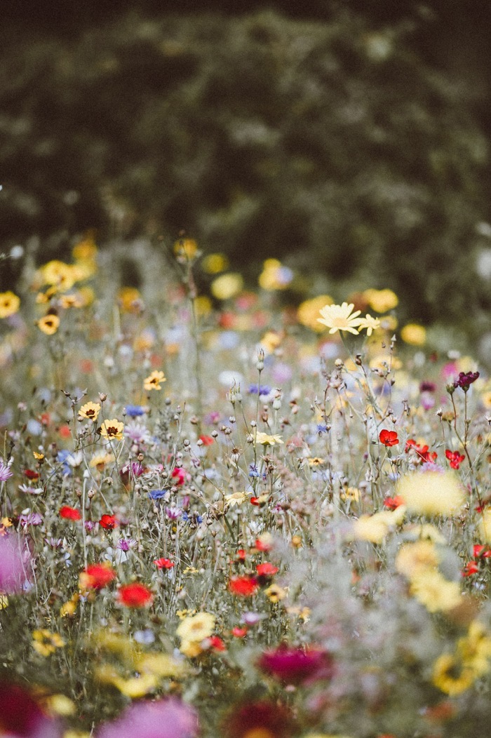 Annie spratt wW B4vndPYA unsplash
